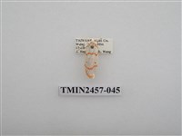 藏品(二斑叉紋苔蛾)的圖片